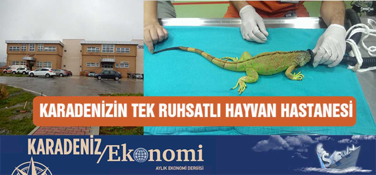 KARADENİZ'İN TEK RUHSATLI HAYVAN HASTANESİ