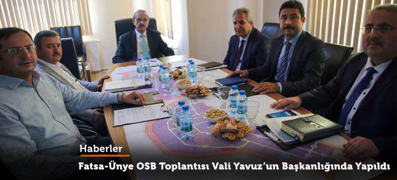 Fatsa-Ünye Toplantısı Vali Yavuz'un Başkanlığında Yapıldı