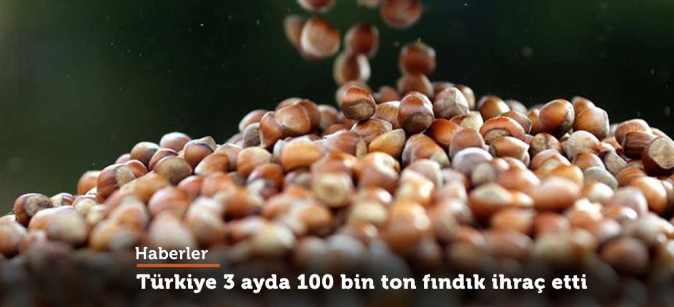 Türkiye üç ayda 100 bin ton fındık ihraç etti