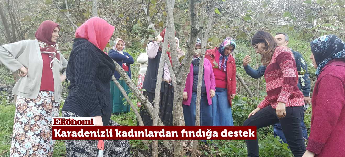 Karadenizli Kadınlar, fındıkta kaliteyi zirveye çıkaracaklar