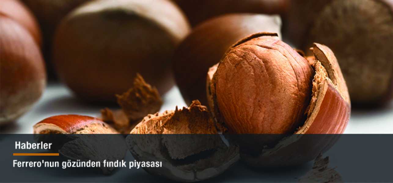 Ferrero'nun gözünden fındık piyasası