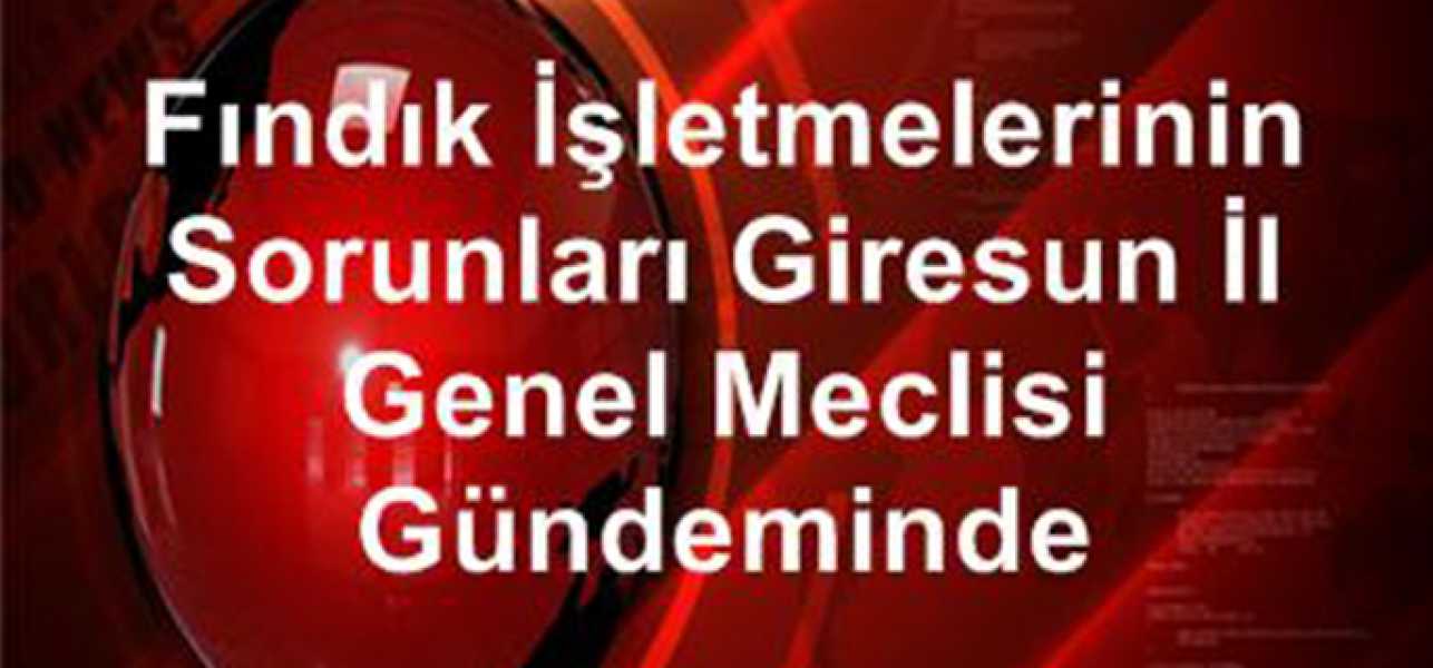 FINDIK İŞLETMELERİNİN SORUNLARI GİRESUN İL GENEL MECLİSİ GÜNDEMİNDE