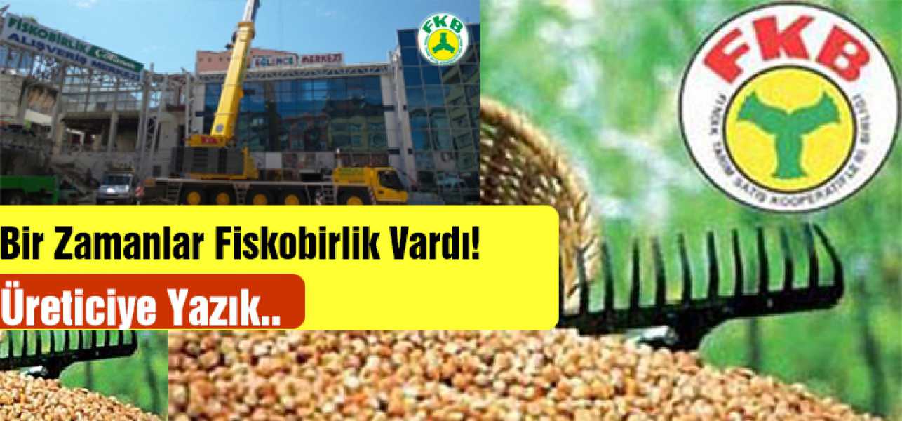 Bir Zamanlar Fiskobirlik Vardı..Üreticiye Yazık..