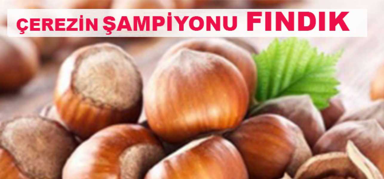 Çerezin şampiyonu fındık