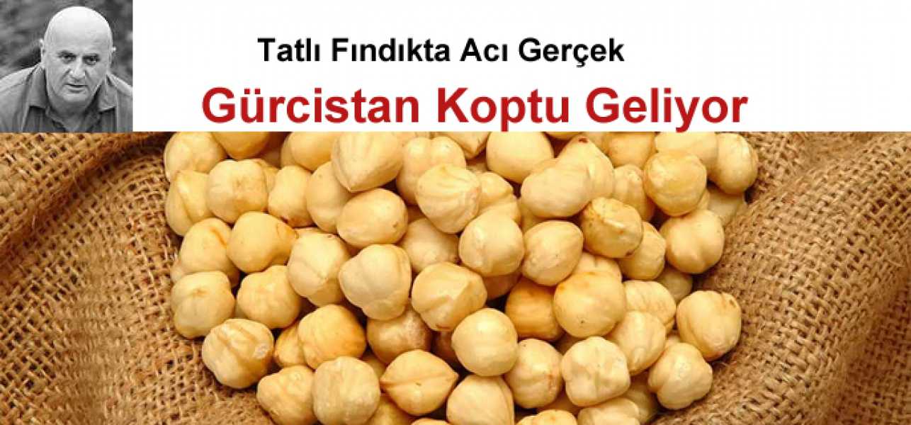 Tatlı Fındıkta Acı Gerçek