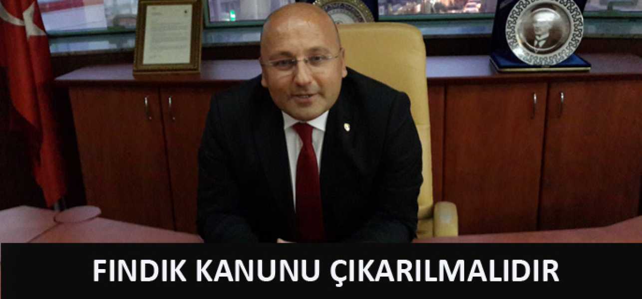 FINDIK KANUNU ÇIKARILMALIDIR