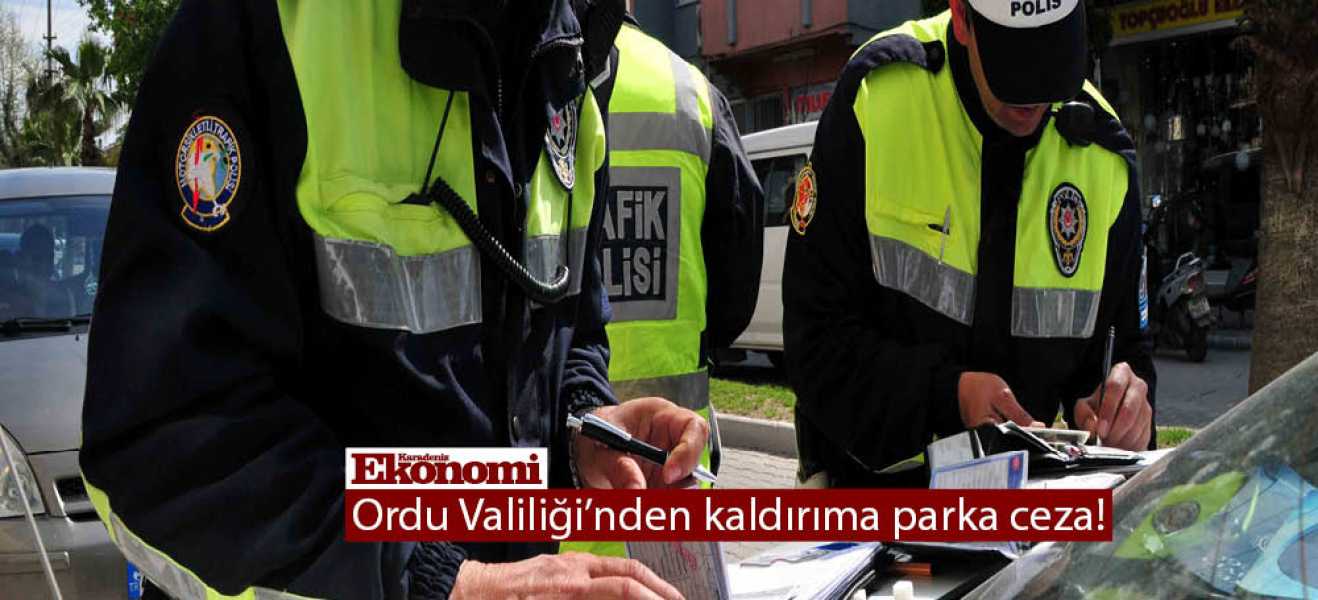 Ordu Valiliği'nden kaldırıma parka ceza!