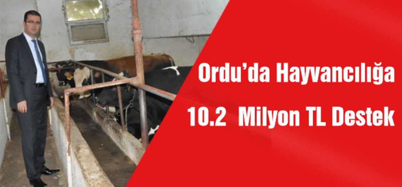 Ordu'da Hayvancılığa 10.2 Milyon Tl Destek