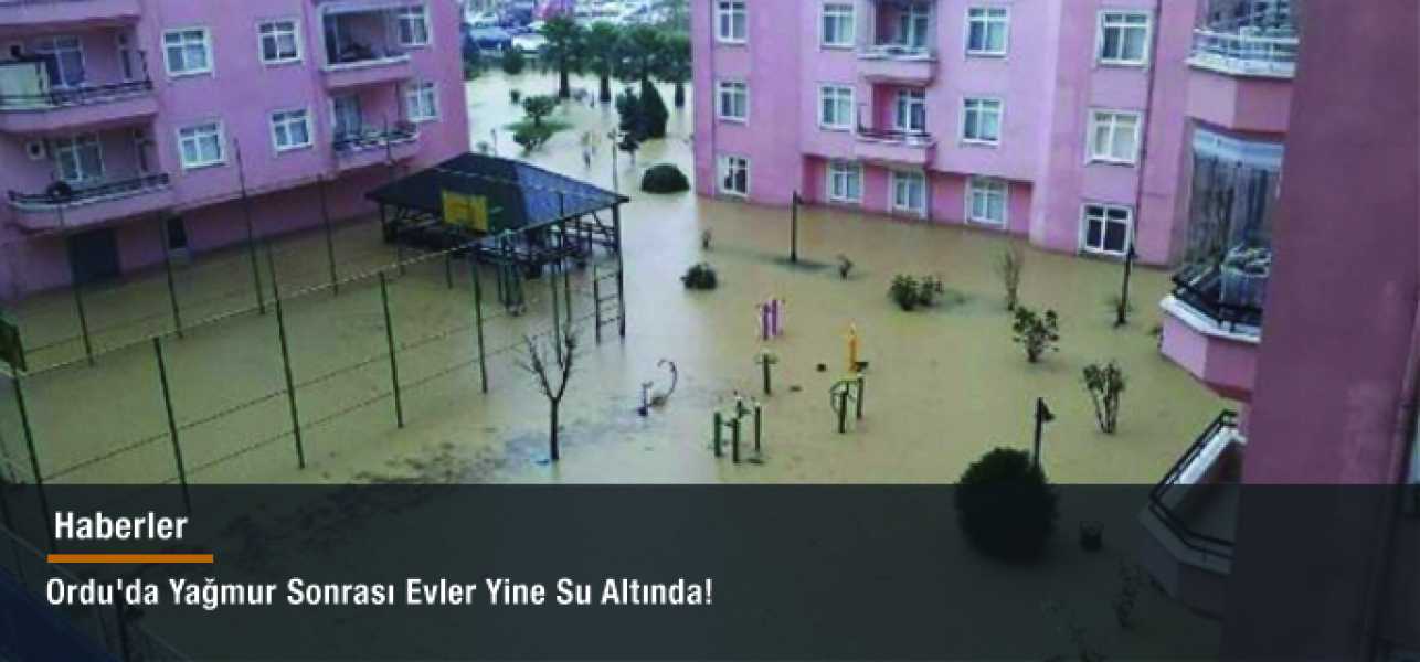 Ordu'da Yağmur Sonrası Evler Yine Su Altında!