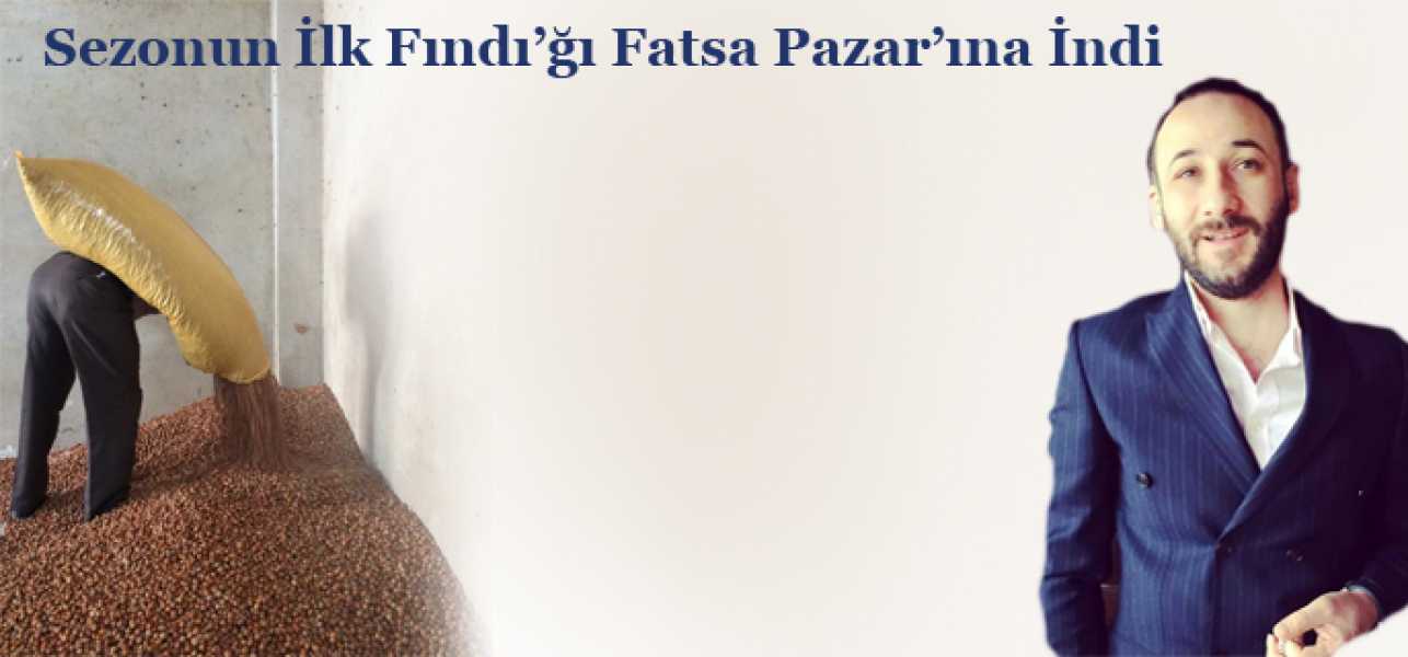 Sezonun İlk Fındı'ğı Fatsa Pazar'ına İndi