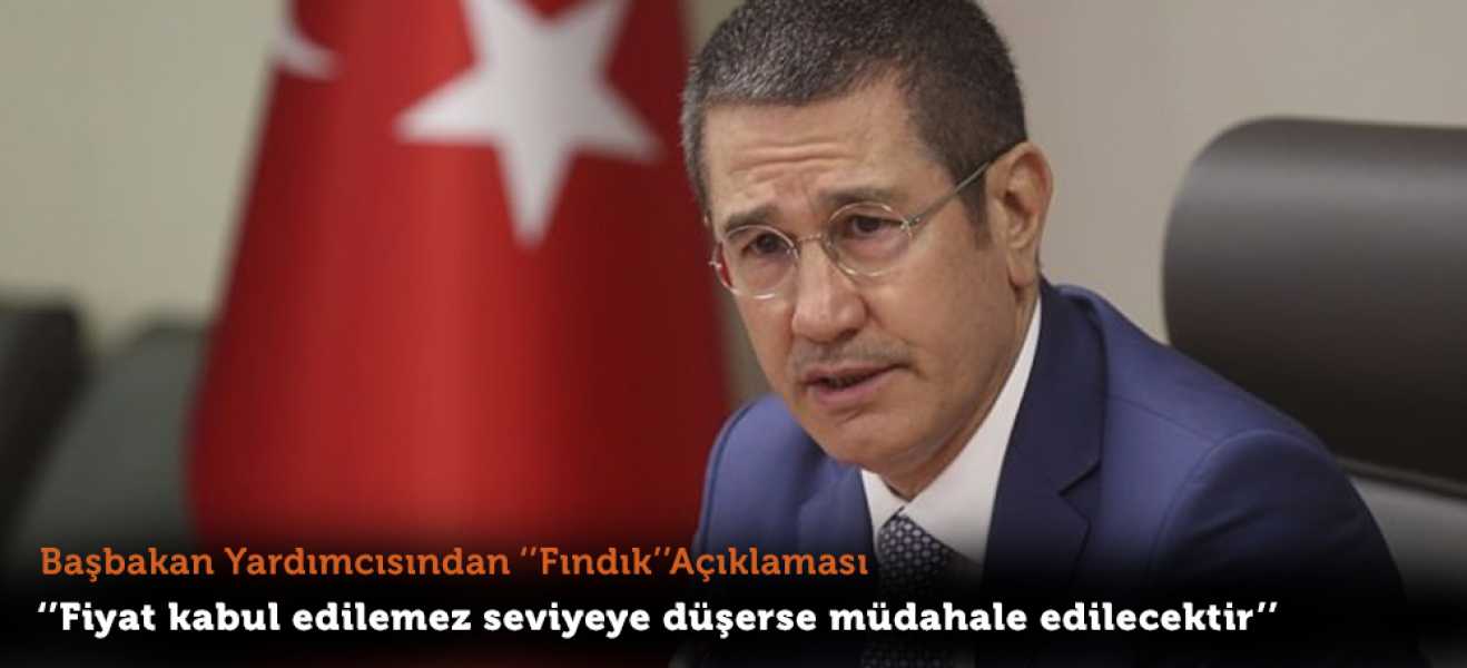 Başbakan Yardımcısı Nurettin Canikli, serbest piyasada düşen fındık fiyatlarına ilişkin açıklamalard