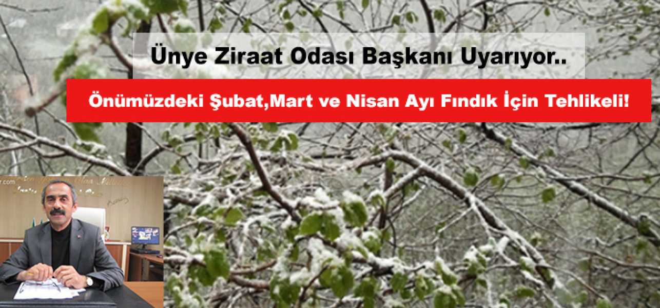 Ünye Ziraat Odası Çiftçileri Uyardı