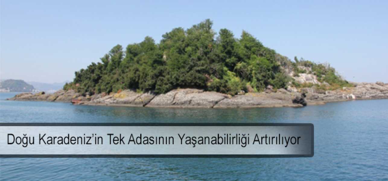 Doğu Karadeniz'in tek adasının yaşanabilirliği artırılıyor