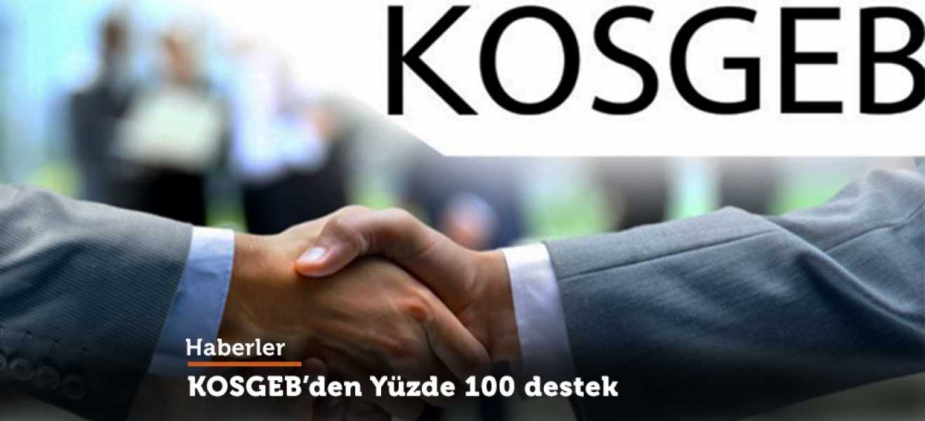 KOSGEB'den 'stratejik ürüne' yüzde 100 destek