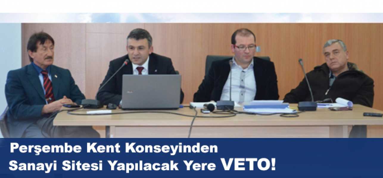 Perşembe Kent Konseyinden Sanayi Sitesi Yapılacak Yere Veto!