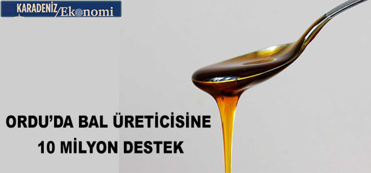 Ordulu Bal üreticisine 10 milyon destek