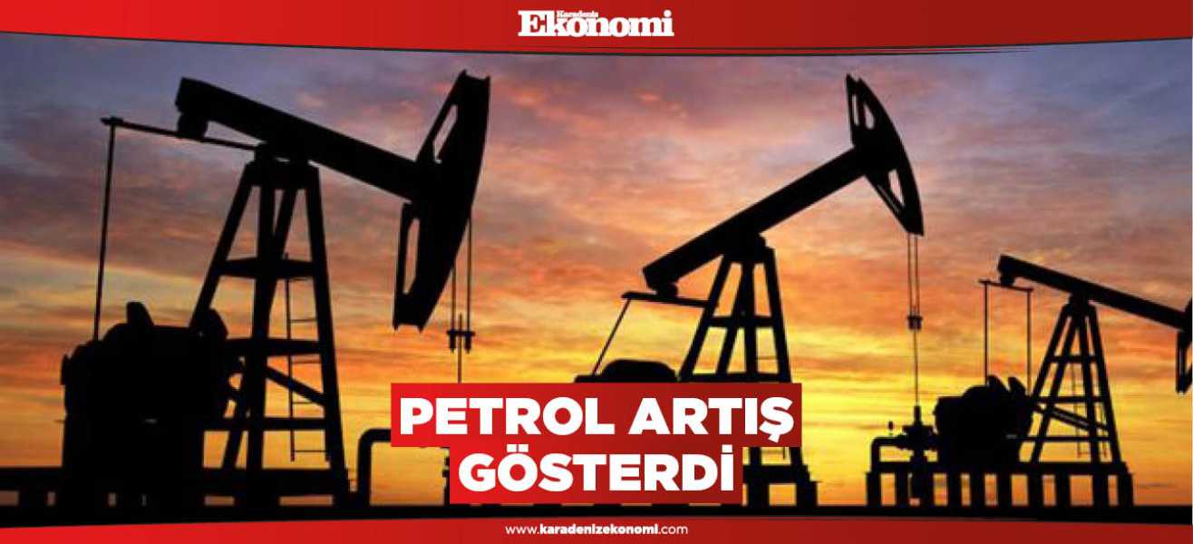 Petrol artış gösterdi