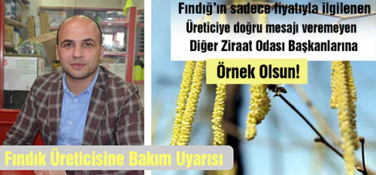 Fındık Üreticilerine Bakım Uyarısı