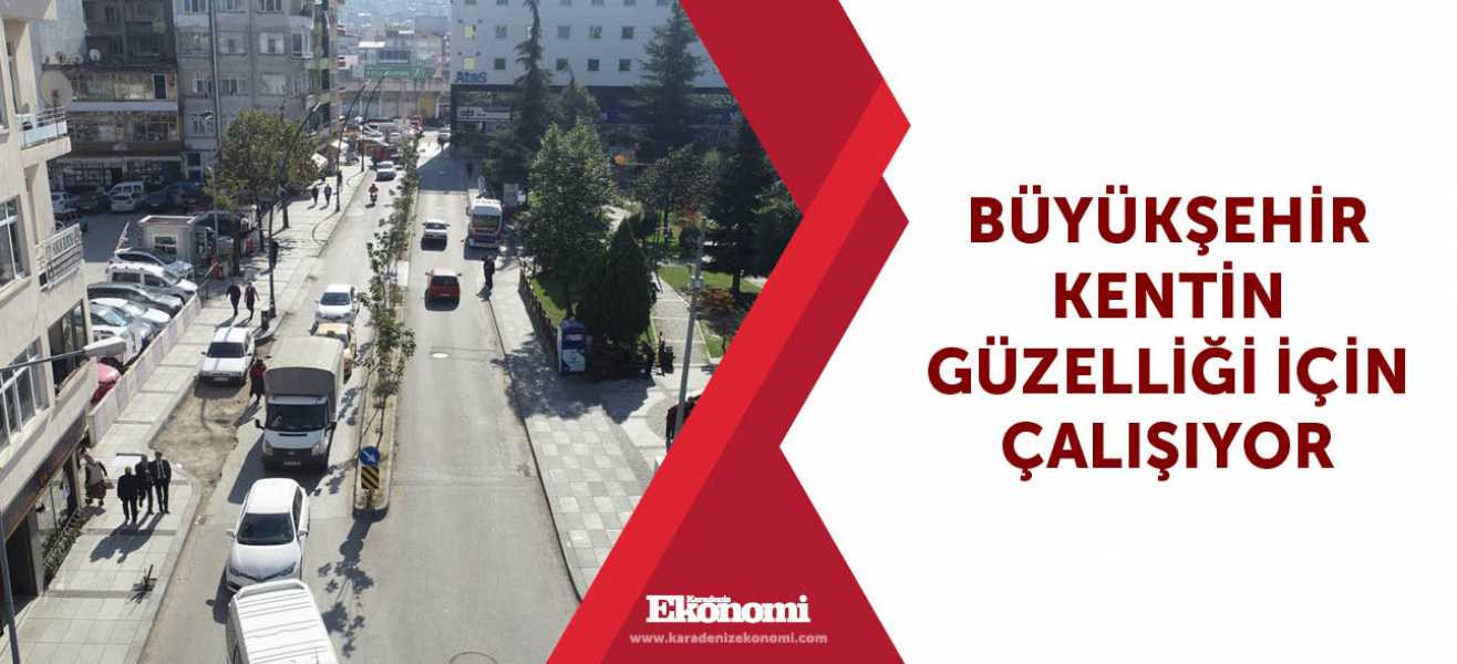 Büyükşehir kentin güzelliği için çalışıyor