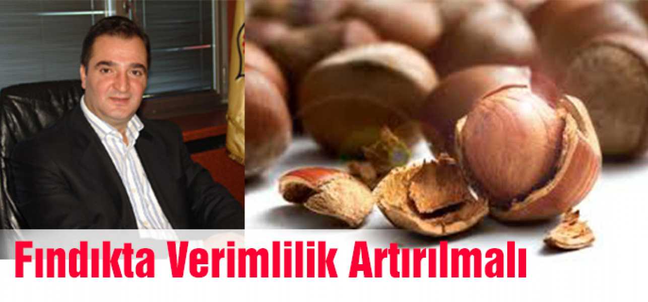 Fındıkta Verimlilik Artırılmalı