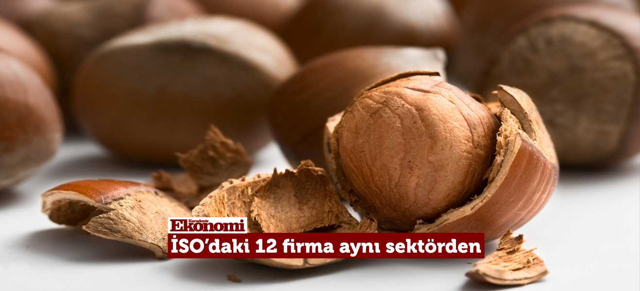 İSODAKİ 12 FİRMA AYNI SEKTÖRDEN
