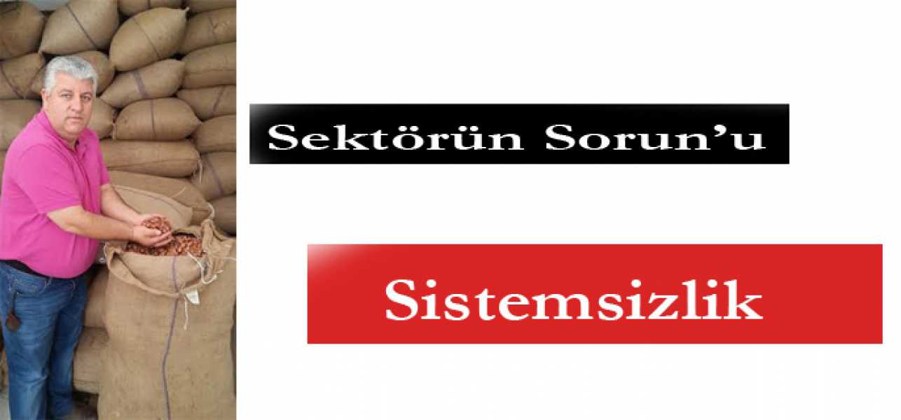 Sektör'ün Sorunu Sistemsizlik