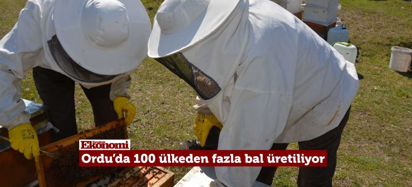 ORDU'DA 100 ÜLKEDEN FAZLA BAL ÜRETİLİYOR