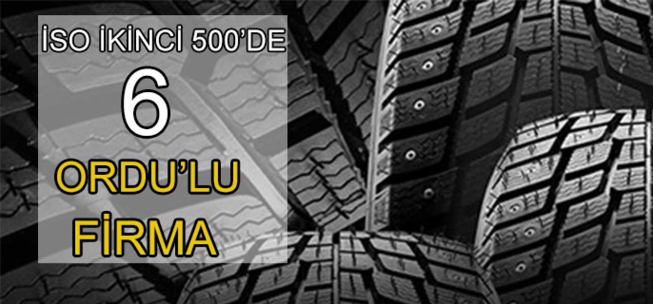 İSO ikinci 500 açıklandı. İşte Listedeki Ordulu  fìrmalar. 