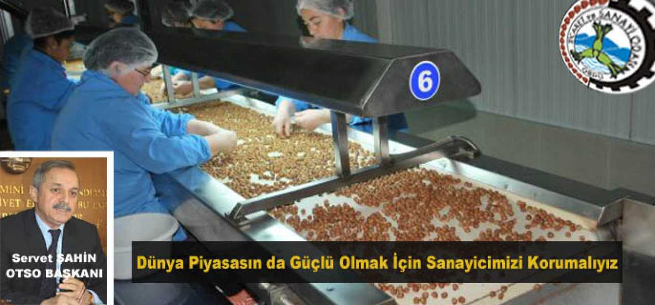 Dünya Piyasasında Güçlü Olmak İçin Sanayicimizi Korumalıyız