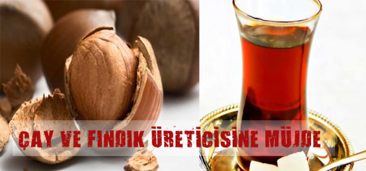 ​Çay ve fındık üreticisine müjde