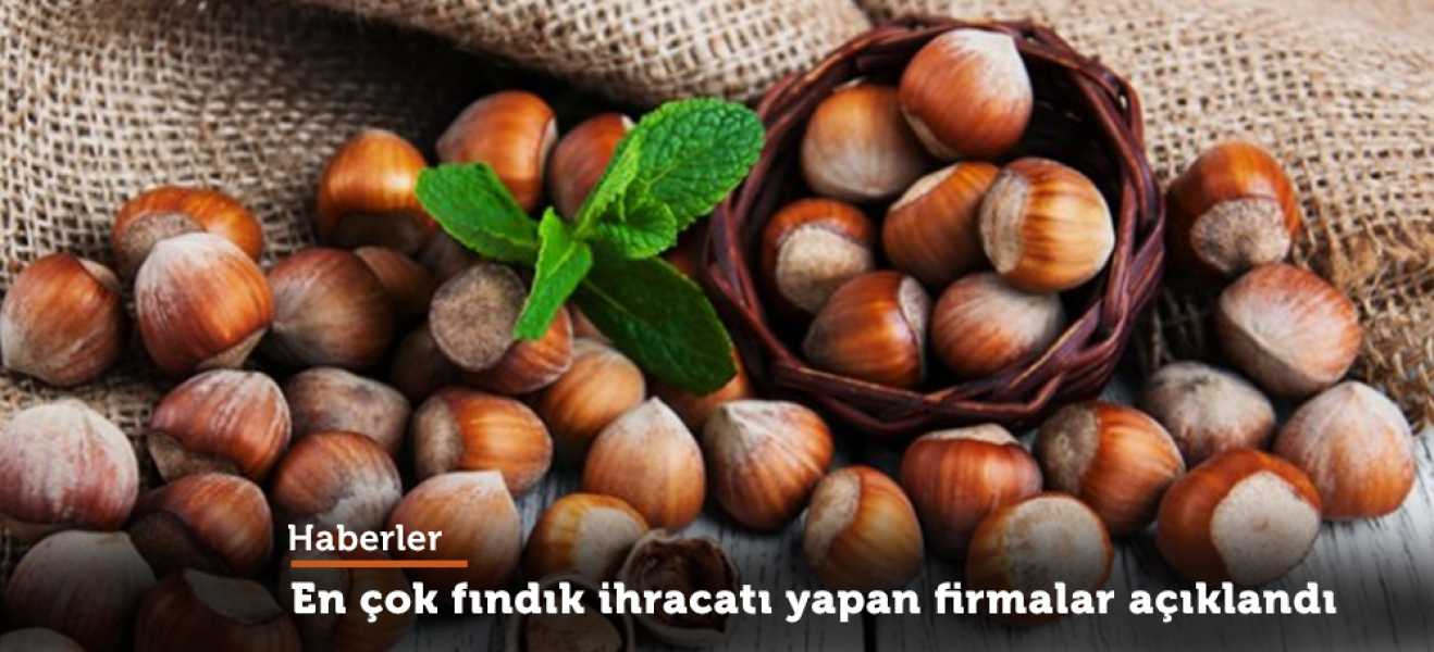 KFMİB En Çok Fındık İhracatı Yapan Firmaları Açıkladı