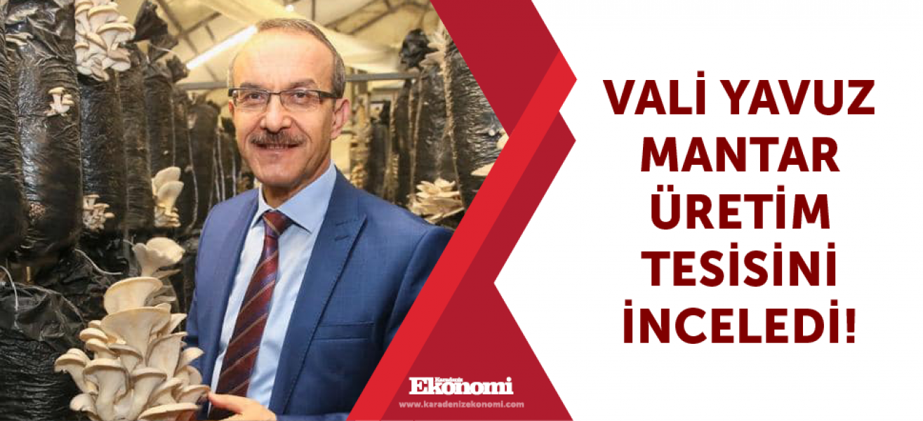 Vali Yavuz mantar üretim tesisini inceledi!