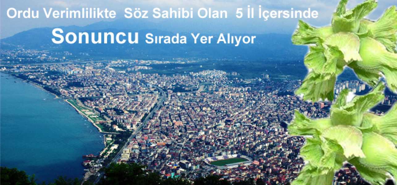 Ordu Verimlilikte Söz Sahibi Olan 5 İl İçerisin de Sonuncu Sırada Yer Alıyor