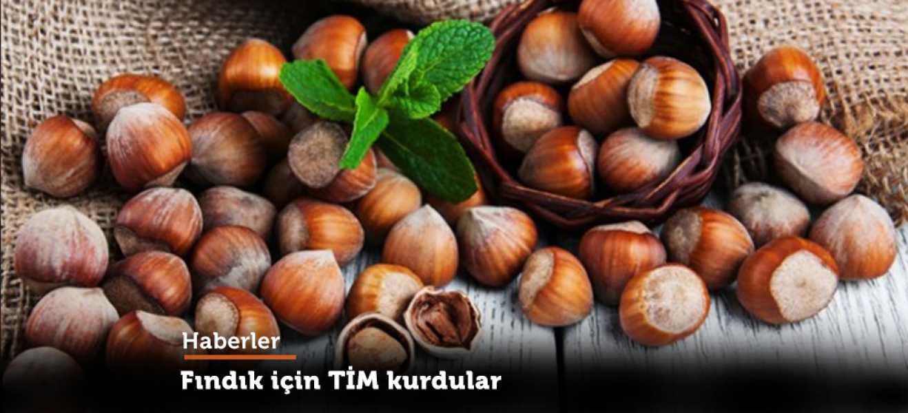 Fındık için TİM kurdular