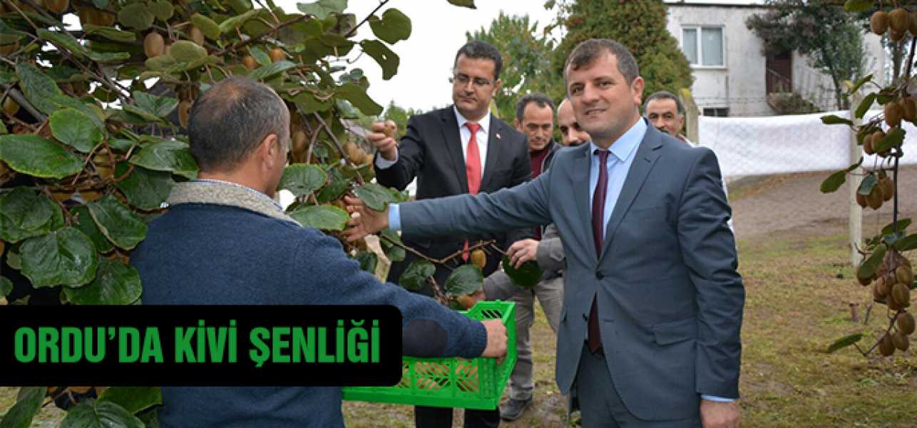 ORDUDA KİVİ ŞENLİĞİ 