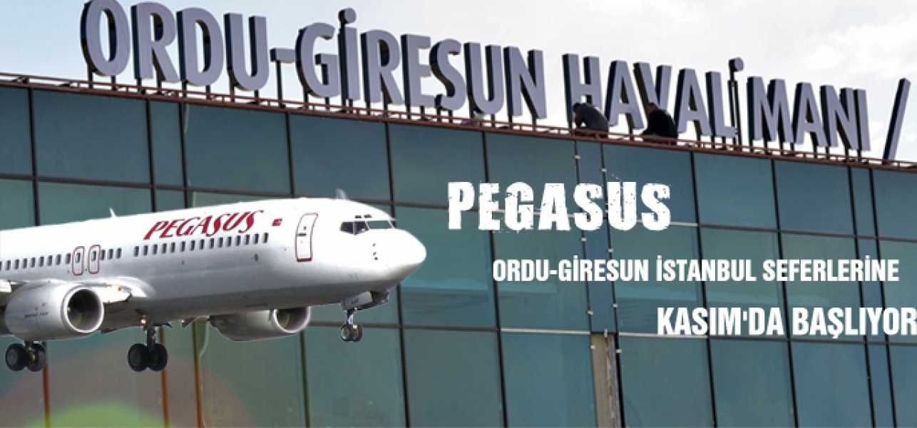 Pegasus ,Ordu-Giresun İstanbul Seferlerine Kasım'da Başlıyor