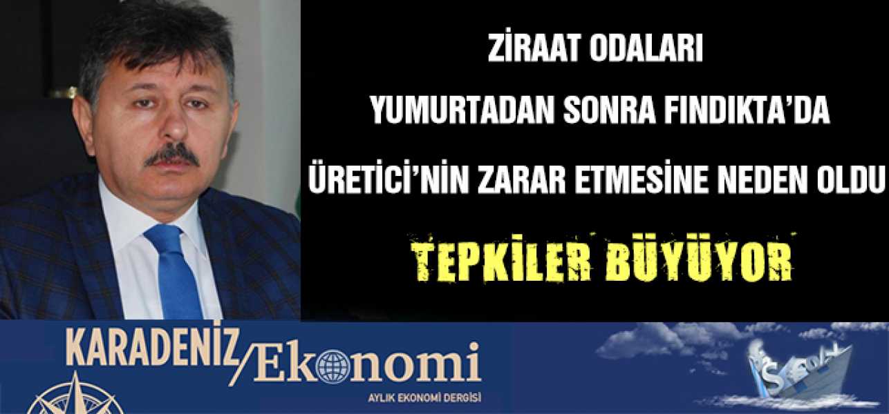 ZİRAAT ODALARI YUMURTADAN SONRA FINDIKTADA ÜRETİCİNİN ZARAR ETMESİNE NEDEN OLDU!TEPKİLER BÜYÜYOR.