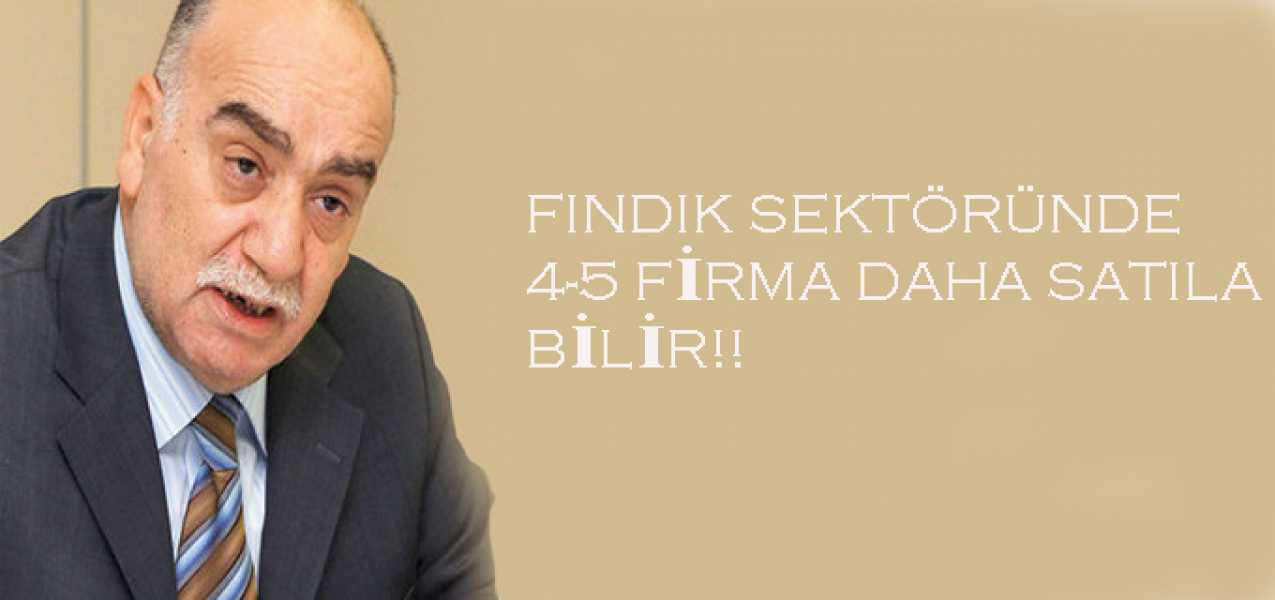 TÜRKİYE ZİRAAT ODALARI BİRLİĞİ BAŞKANI İBRAHİM YETKİN:FINDIK SEKTÖRÜNDE 4-5 ŞİRKET DAHA SATILABİLİR