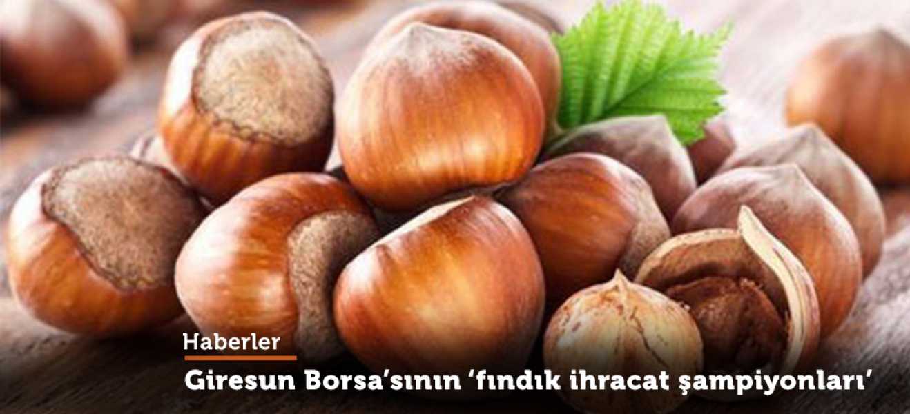 Giresun Ticaret Borsası'nın 'fındık ihracat şampiyonları'