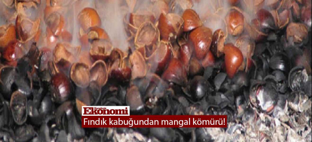 Fındık kabuğundan mangal kömürü!