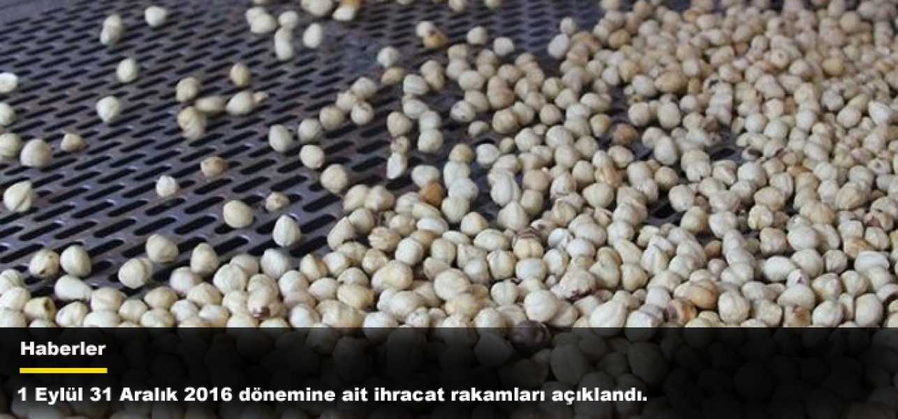 1 Eylül 31 Aralık 2016 dönemine ait ihracat rakamları açıklandı.