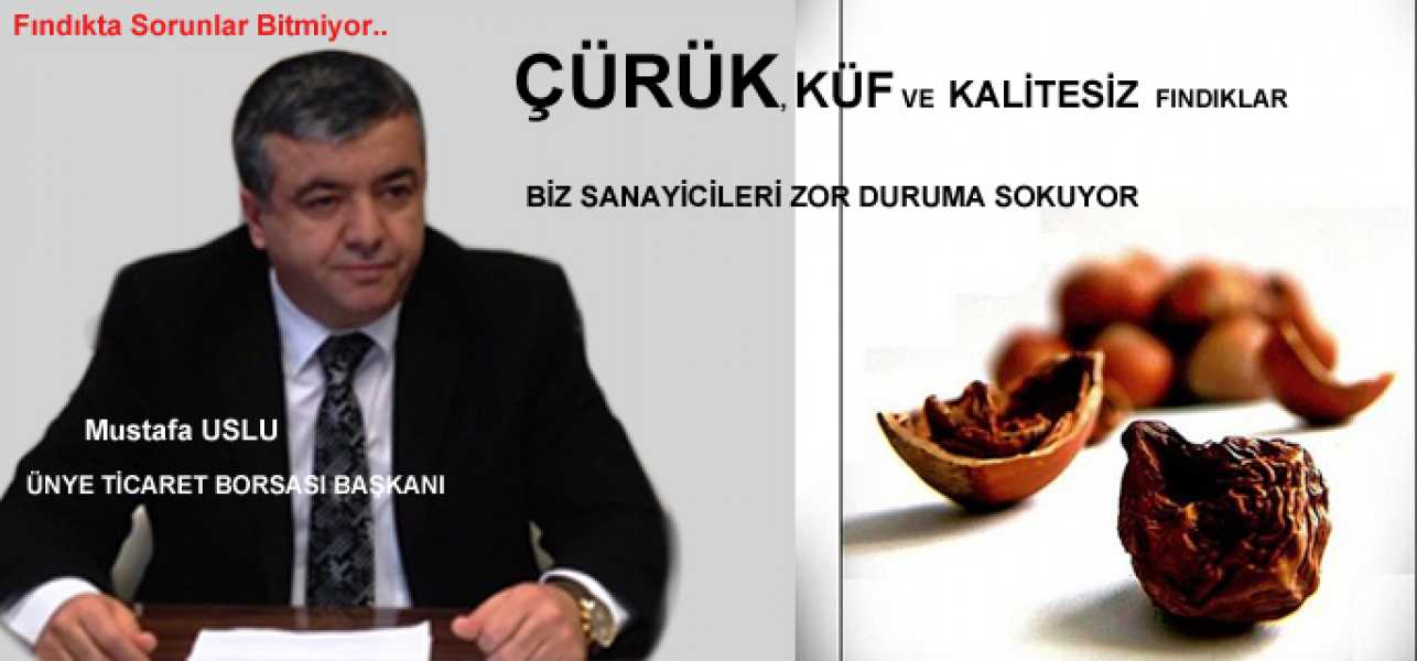 Çürük,Küf ve Kalitesiz  Fındıklar Biz Sanayicileri Zor Duruma Sokuyor