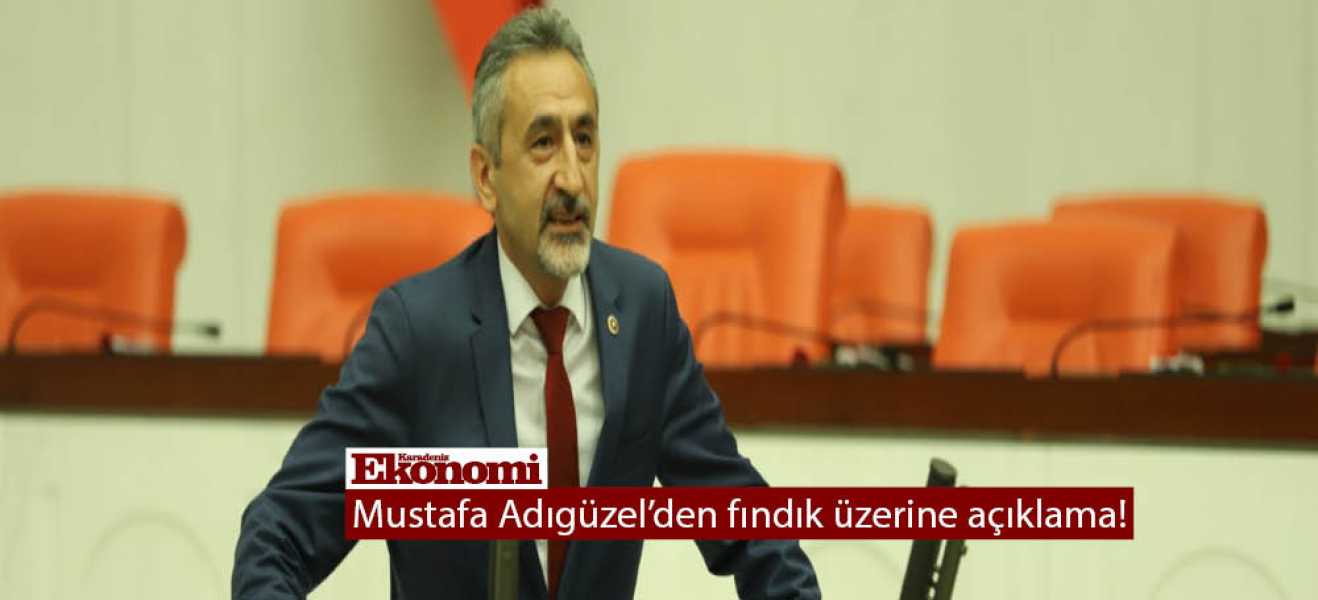 Mustafa Adıgüzel'den fındık üzerine açıklama!