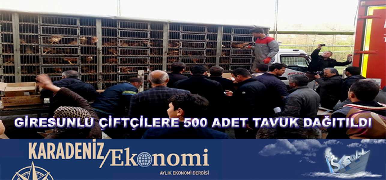 GİRESUNLU ÇİFTÇİLERE 500 ADET TAVUK DAĞITILDI