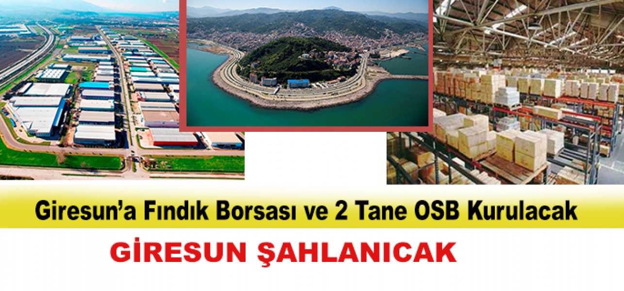  Giresun'a Fındık Borsası ve 2 OSB Kurulacak,Giresun Şahlanıcak