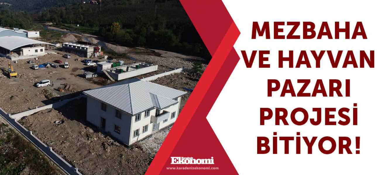 Mezbaha ve Hayvan Pazarı Projesi bitiyor!