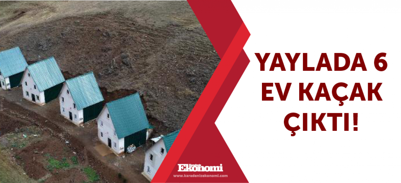 Yaylada 6 ev kaçak çıktı!