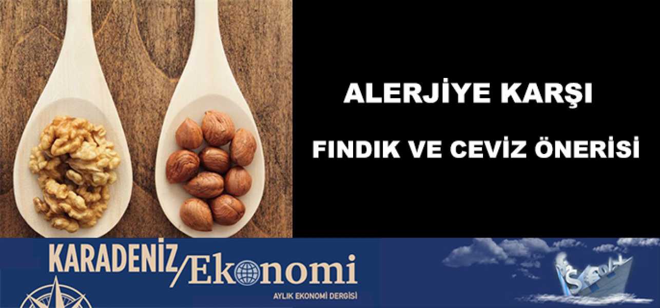 Alerjiye karşı fındık ve ceviz önerisi