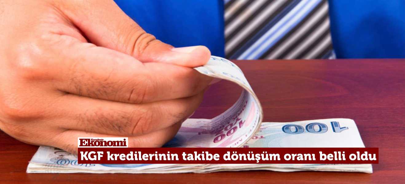 KGF kredilerinin takibe dönüşüm oranı yüzde 0,83 oldu