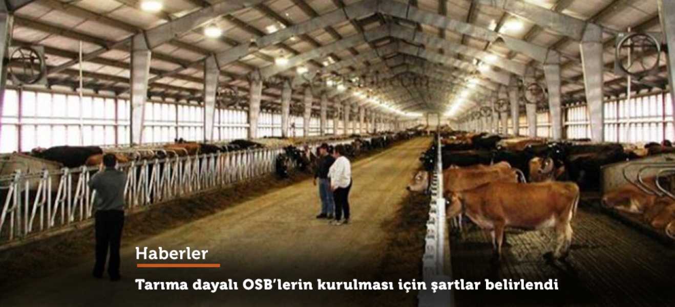 Tarıma dayalı OSB'lerin kurulması için şartlar belirlendi